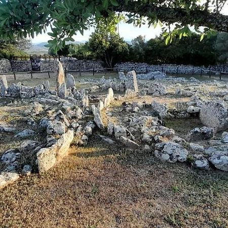 شقة Casa Mario E Stefanina Bassacutena المظهر الخارجي الصورة