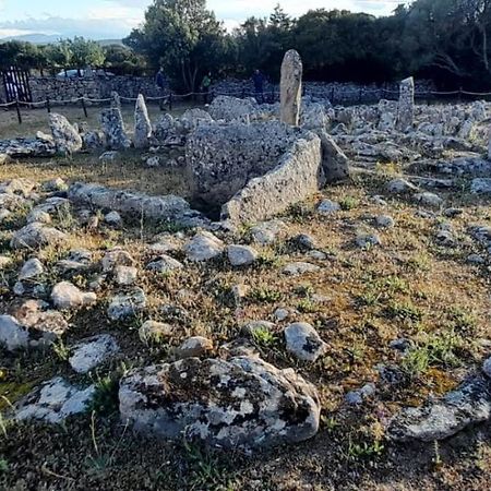شقة Casa Mario E Stefanina Bassacutena المظهر الخارجي الصورة