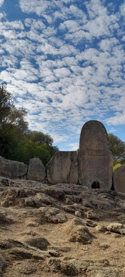 شقة Casa Mario E Stefanina Bassacutena المظهر الخارجي الصورة