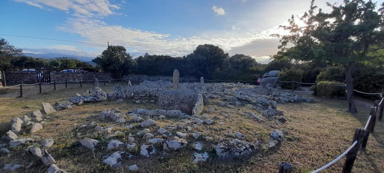 شقة Casa Mario E Stefanina Bassacutena المظهر الخارجي الصورة