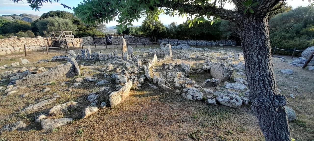 شقة Casa Mario E Stefanina Bassacutena المظهر الخارجي الصورة