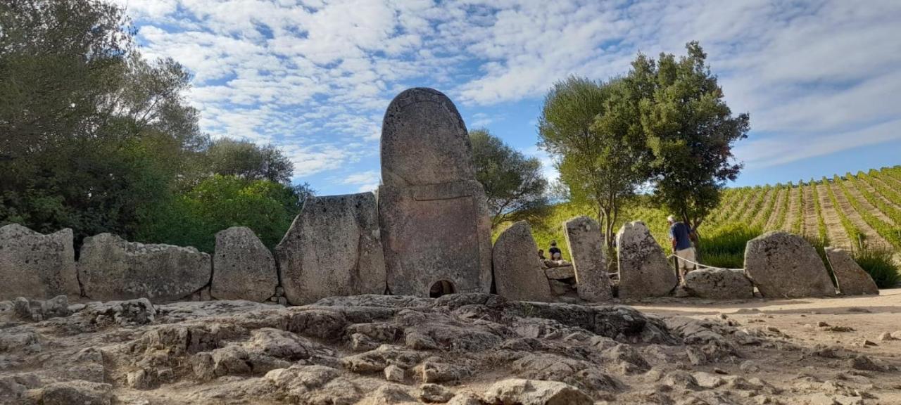 شقة Casa Mario E Stefanina Bassacutena المظهر الخارجي الصورة